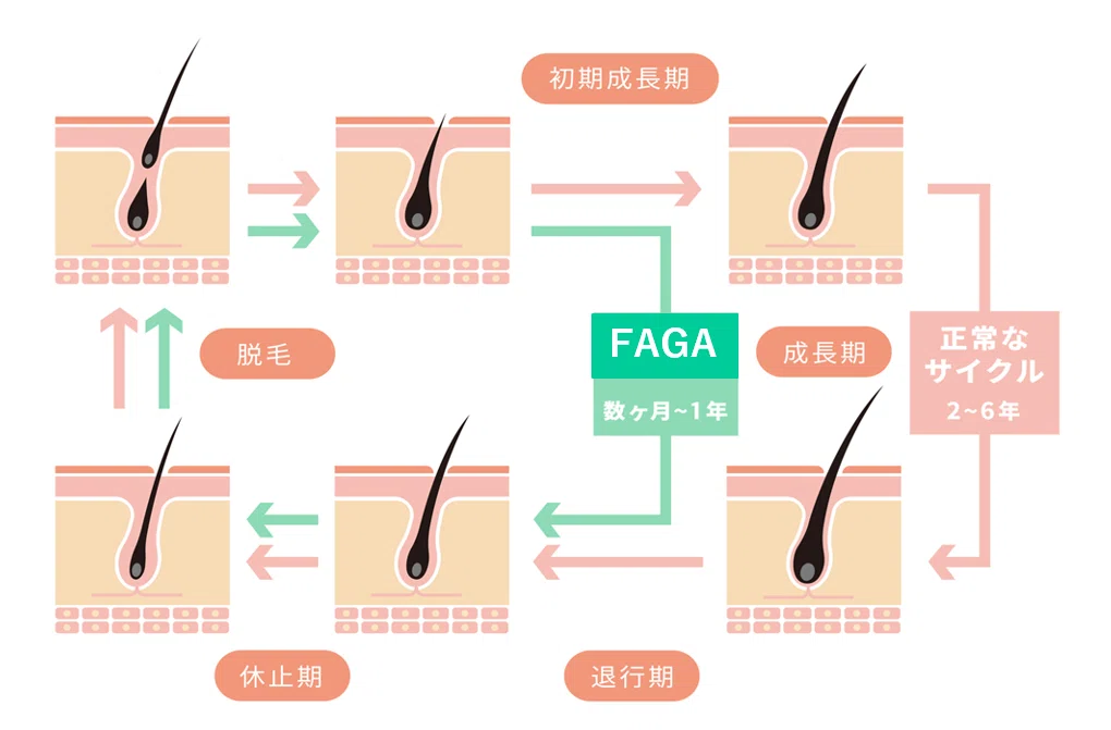 FAGA ヘアサイクル