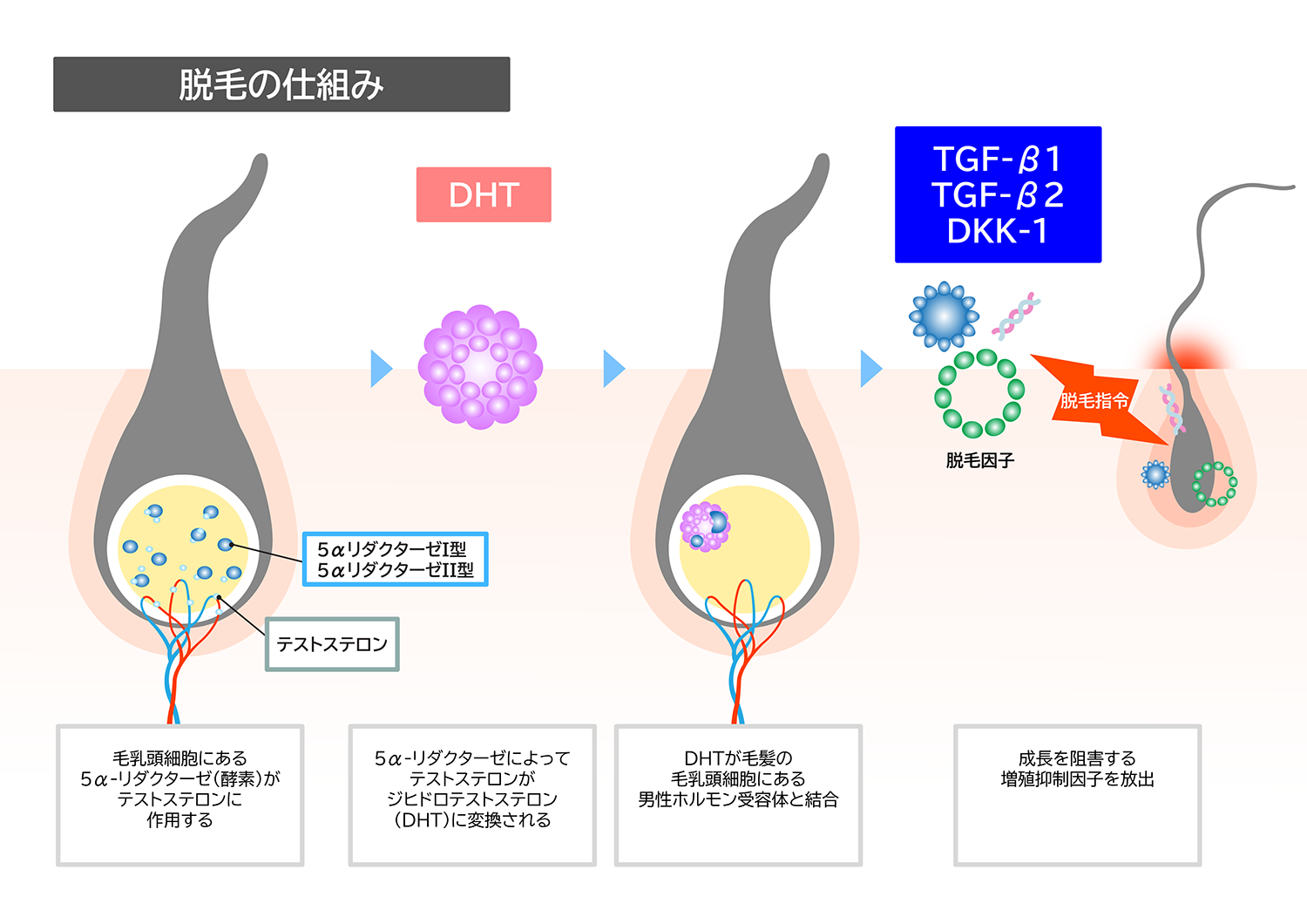 脱毛の仕組み