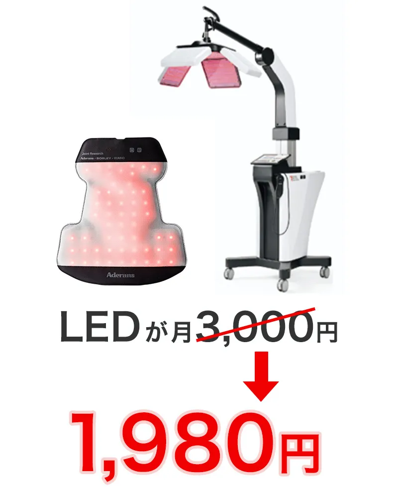 お得なセット価格